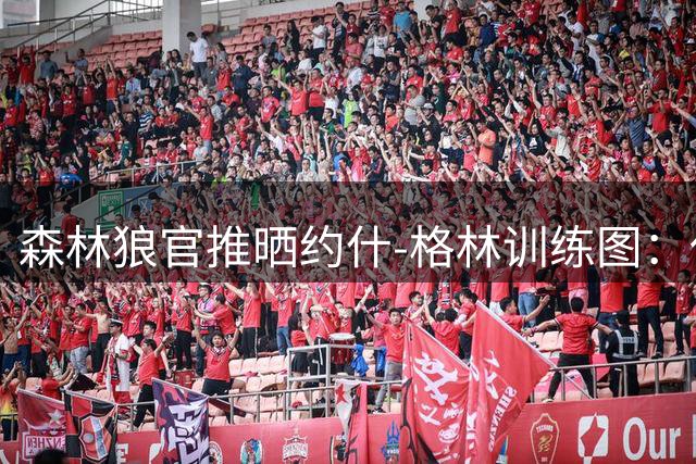 森林狼官推晒约什-格林训练图：休赛期强化备战